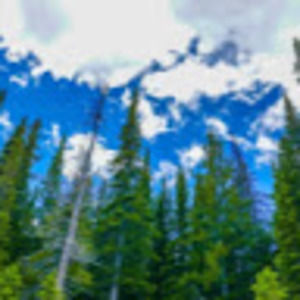 Meet your Posher, Lyanna